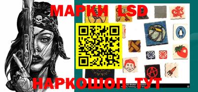 стафф Дубна