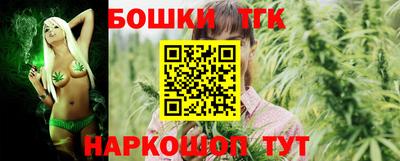 стафф Дубна