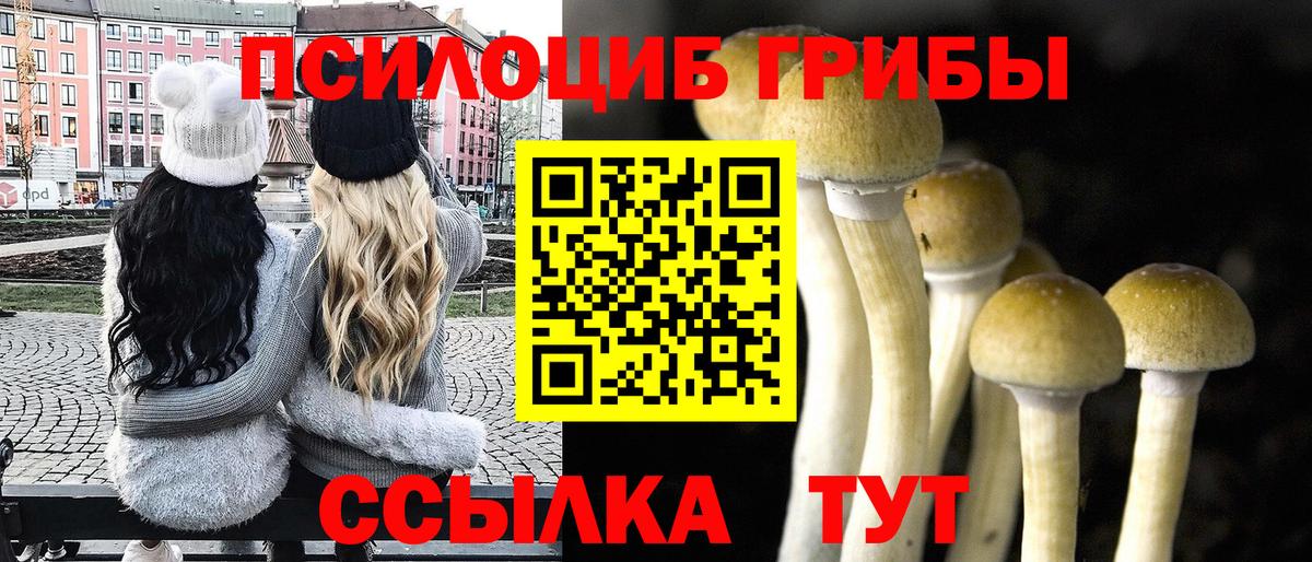 Галлюциногенные грибы мухоморы Мариинск